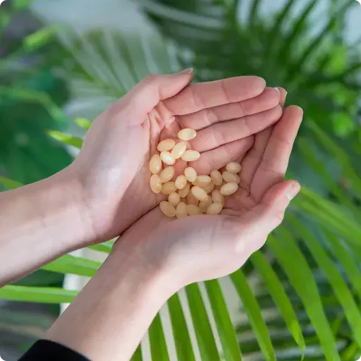 Efectos del Saw Palmetto en el organismo