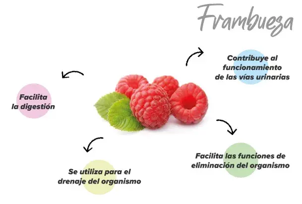 Funciones de la frambuesa
