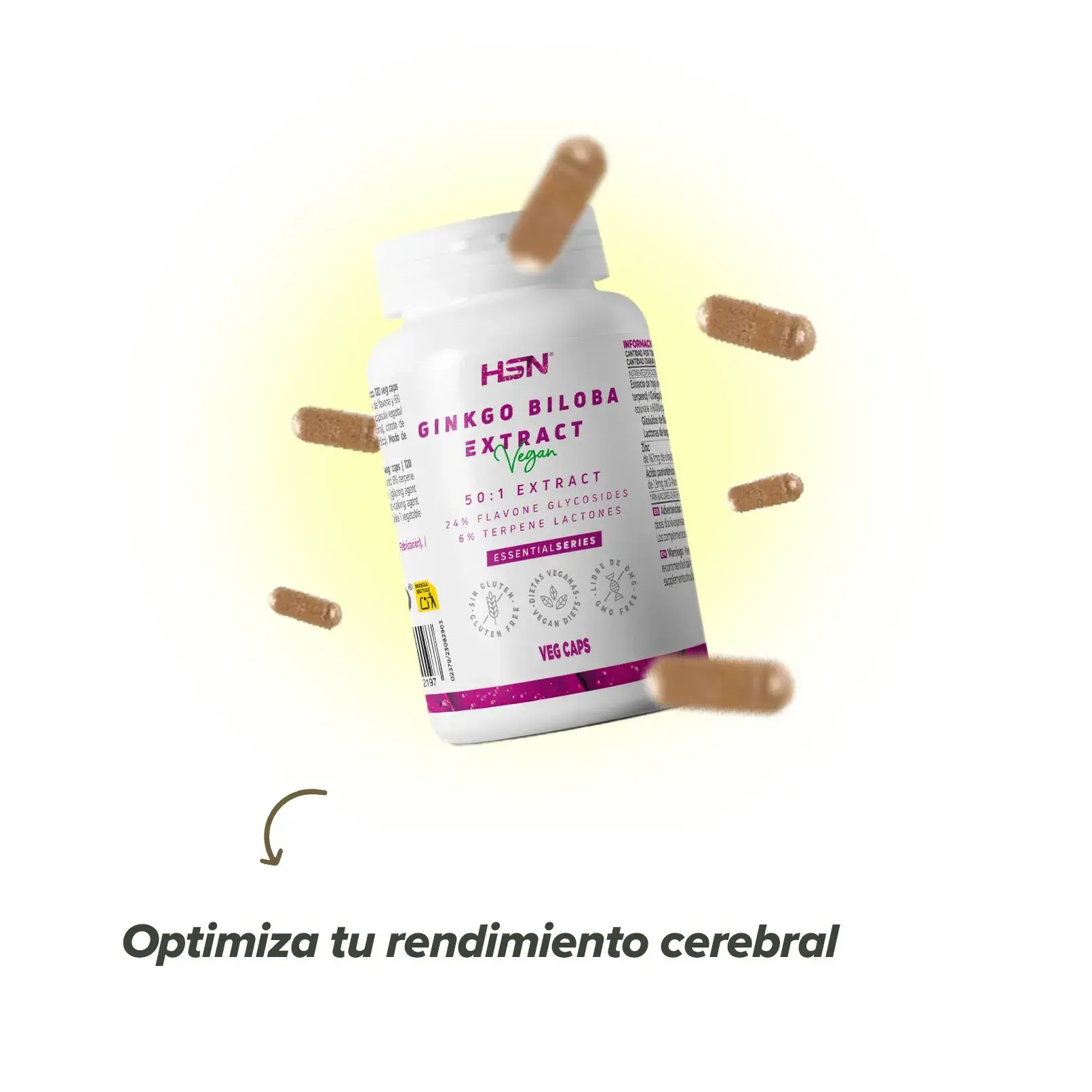 Ginkgo Biloba HSN
