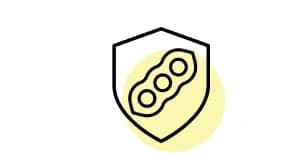 icono 1