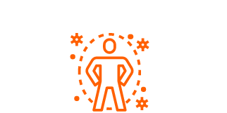 function of the immune system
