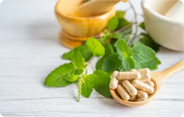 Vitamine fürs Gehirn
