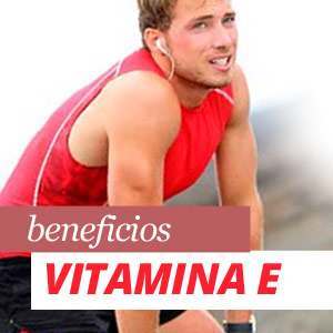 Todo sobre la vitamina e