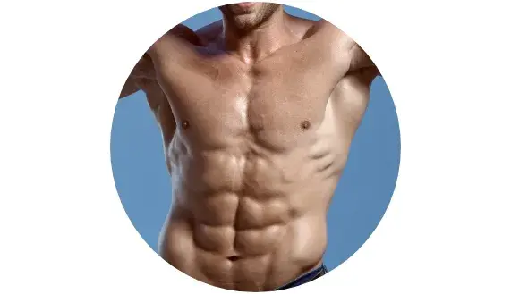 Fonctionnement normal des muscles