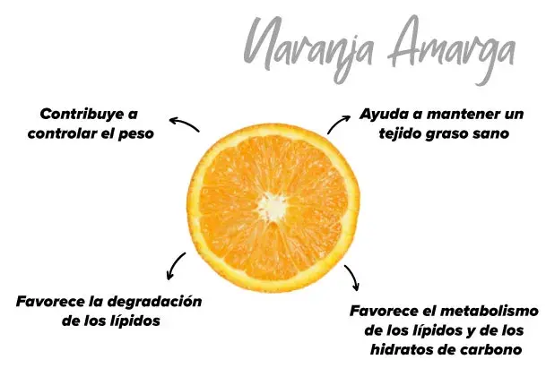 Naranja amarga en el organismo