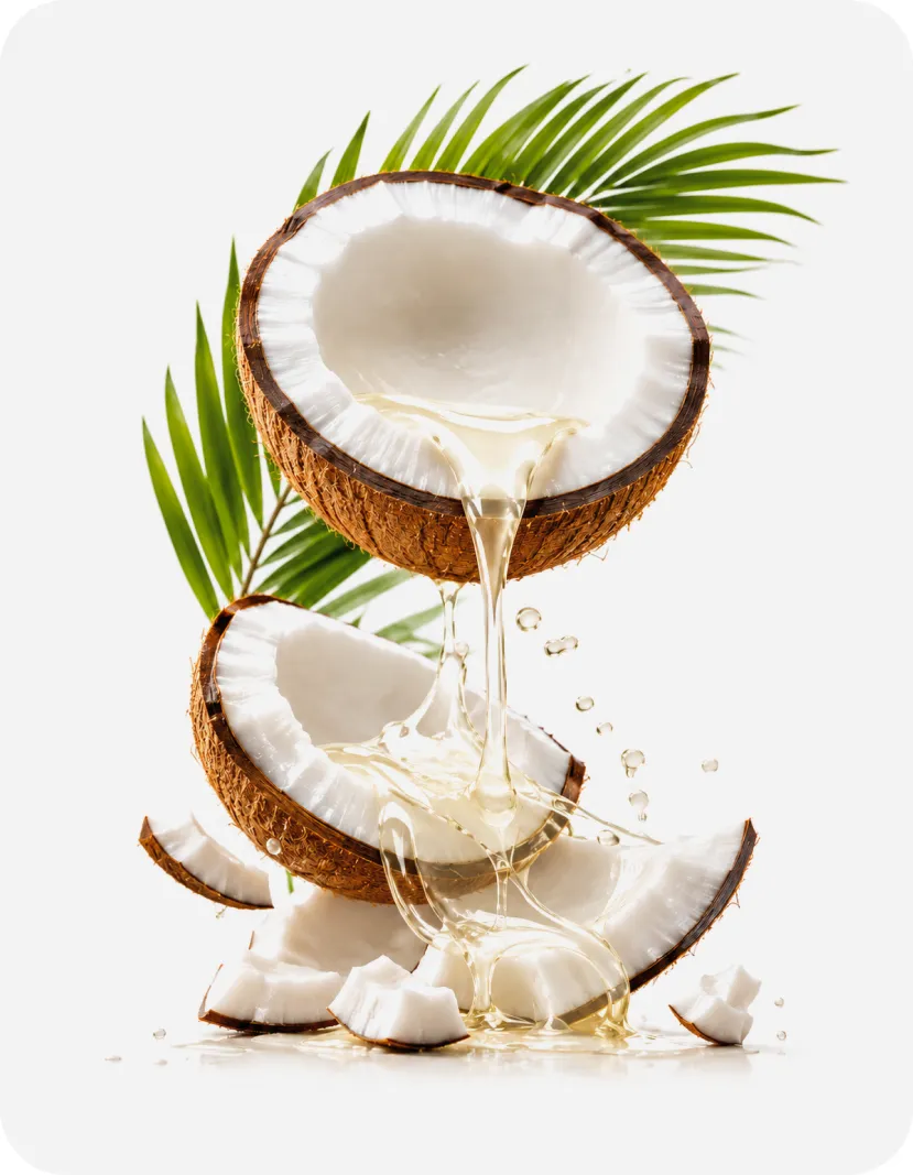 Aceites orgánicos favoritos de nuestra tienda