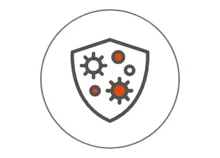 Funzionamento del sistema immunitario