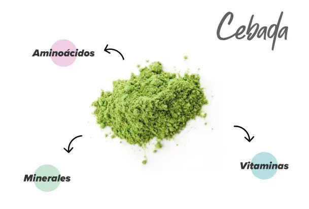 Nutrientes de la cebada