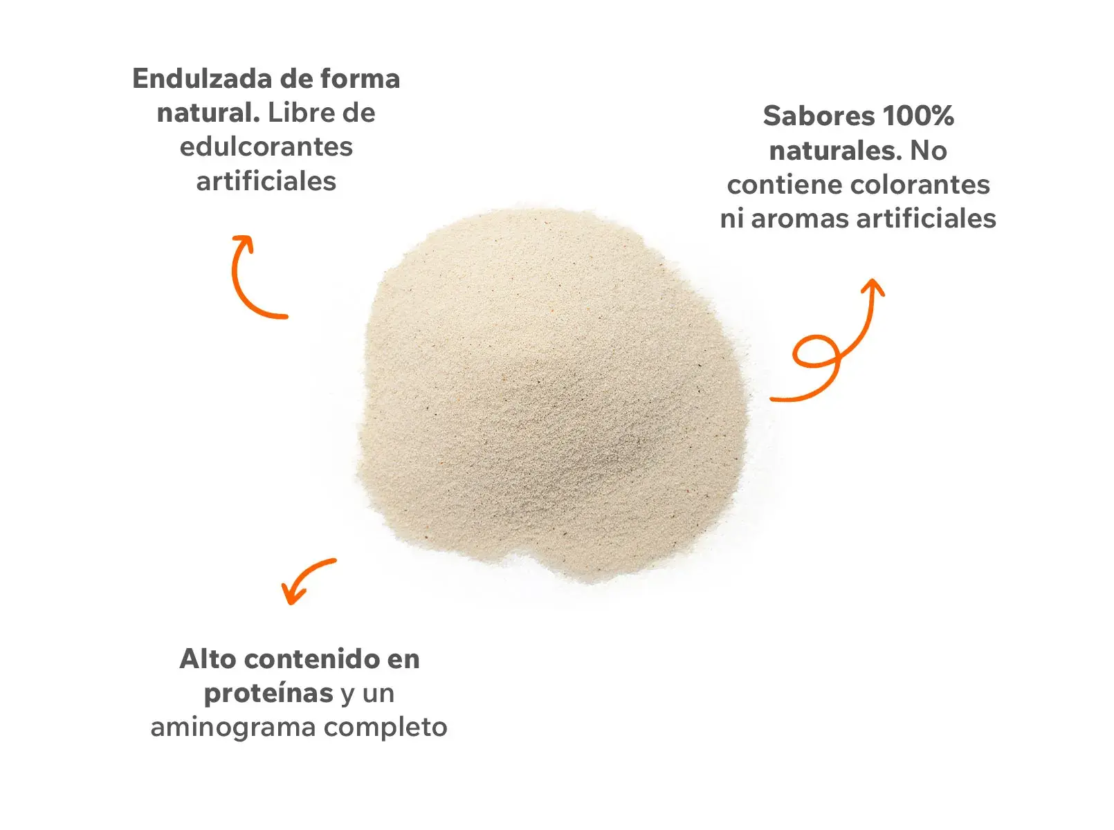 Proteina en polvo 