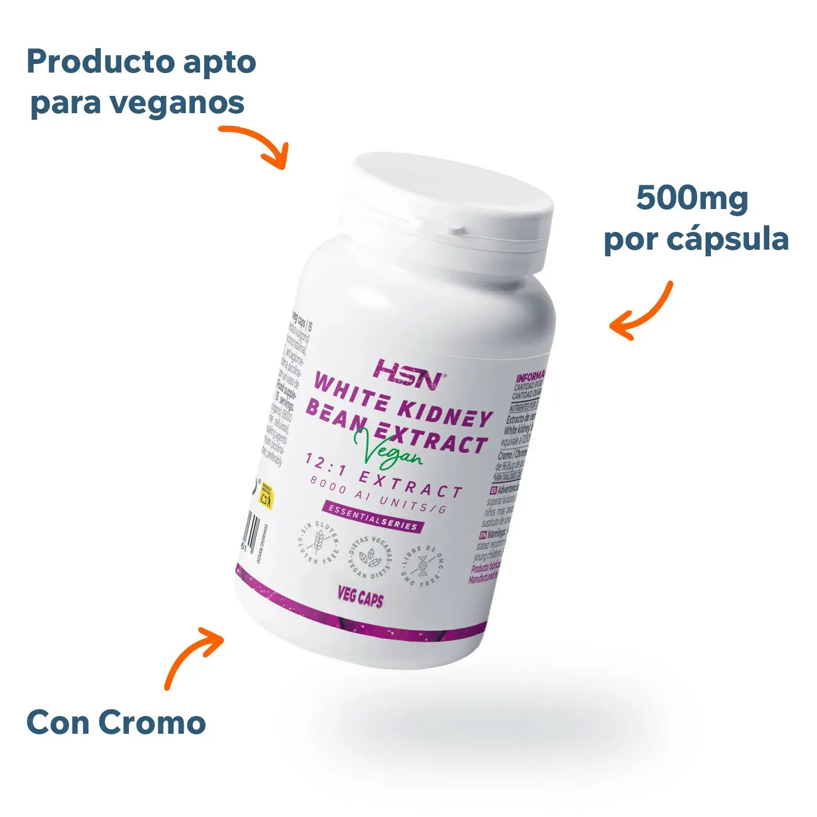 White kidney bean White kidney bean