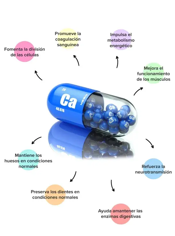 Propiedades del calcio
