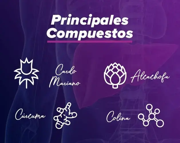 Propiedades protectores hepáticos
