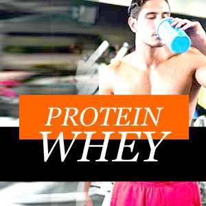 Whey protein