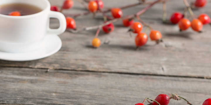 Infusión de Rosa Mosqueta