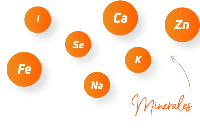 Tipos de minerales