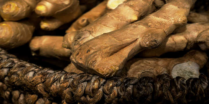 Tubérculo Jengibre