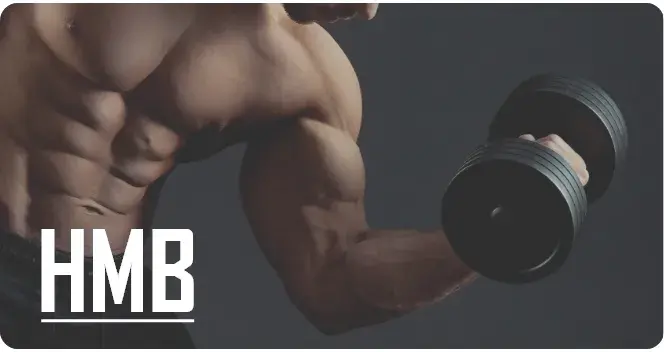 What is HMB for?