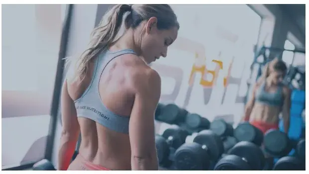 Wozu dient ein Weight Gainer