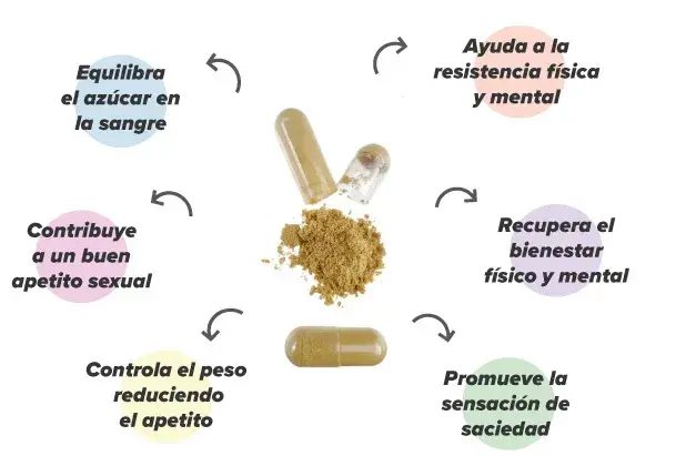 Extracto damiana Extracto damiana