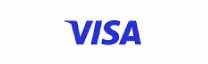 IT-visa